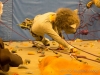 img_5154-protegee